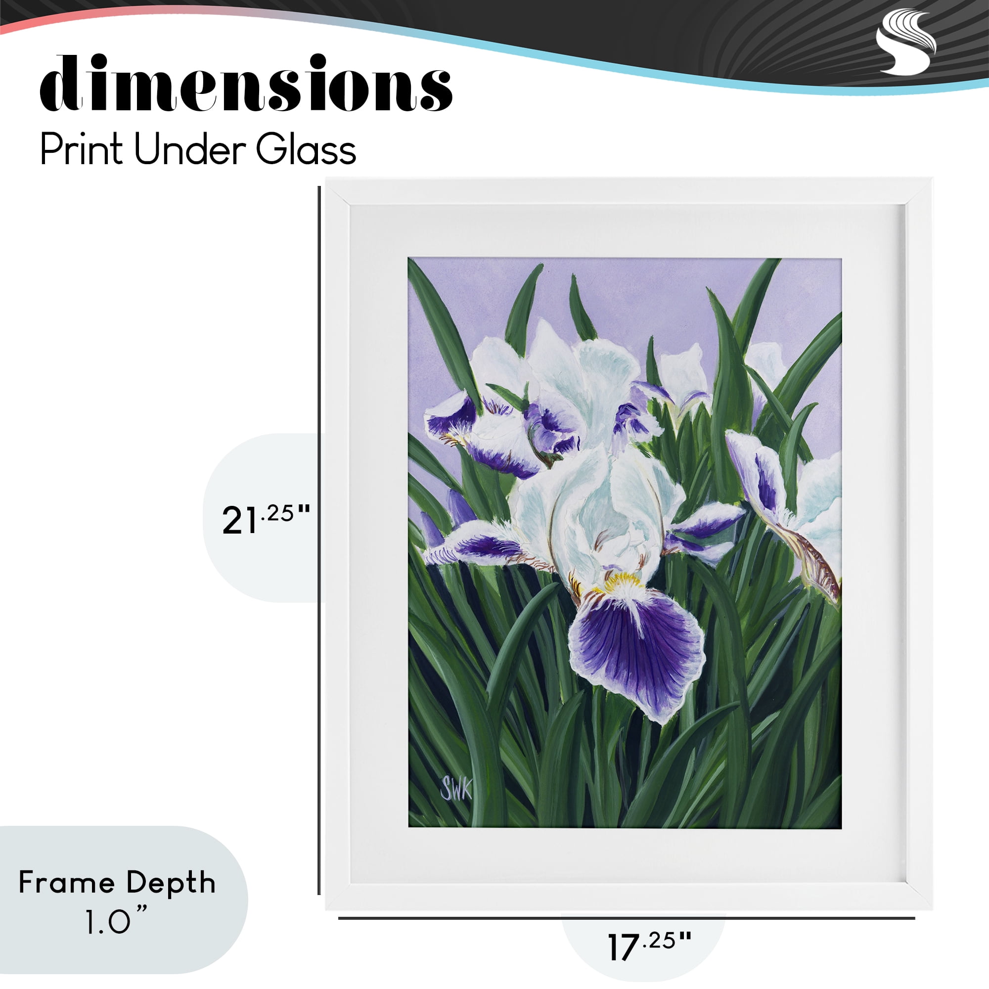 Stupell Industries Purple & White Irises White Framed Print Under Glass, design by Sarah Waldron Kimball