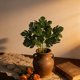 thumbnail image 5 of Plantas de follaje artificial para la decoración del hogar | Arreglos de vegetación artificial | Plantas de plástico en maceta para paisajismo interior y exterior, 5 of 6