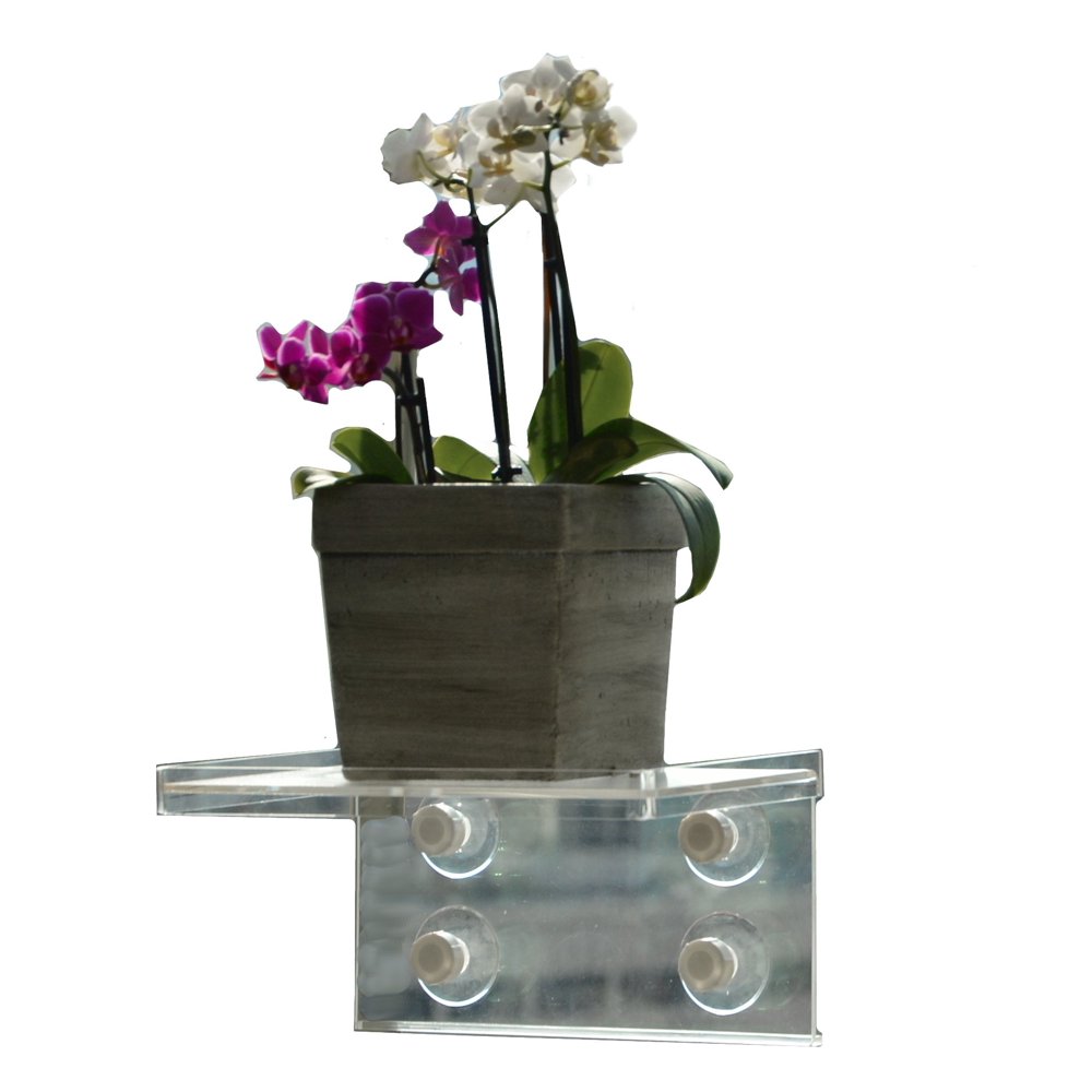 Window Suction Cup Shelf