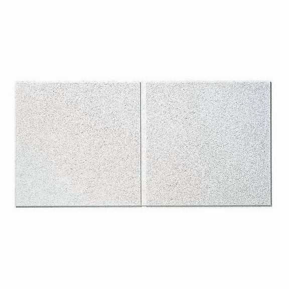 Armstrong Ceiling Tile,48 in L,24 in W,PK6 510A