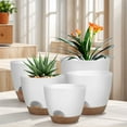 thumbnail image 3 of golytefs 5Pcs Self Watering Planters with Drainage Hole Plastic Plant Pots for Home Decor, 3 of 9
