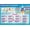 Framed, variant on Daydream Education Cell Organization & Organ Systems Poster - EXTRA LARGE  Laminated - Science Middle & High School Classroom Decoration - Wall Charts