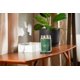 thumbnail image 4 of Yankee Candle Vela en tarro grande de Balsam & Cedar Signature YANKEE CANDLE NA, 4 of 5