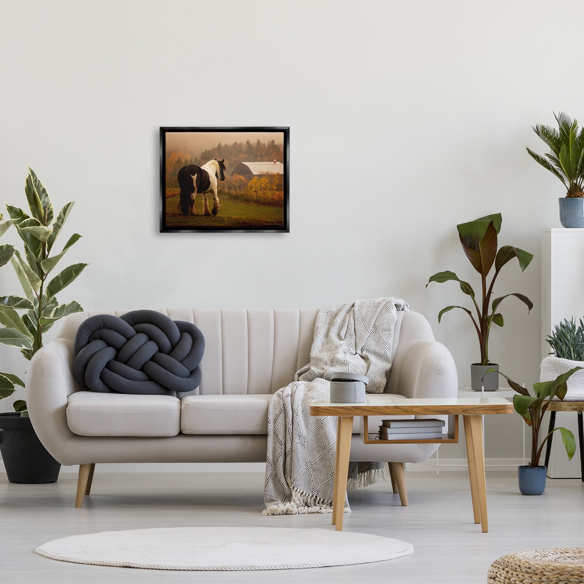 Stupell Industries Horse Overlooking Barn Landscape Photography Black Floater Framed Canvas Art Print Wall Art, 21 x 17