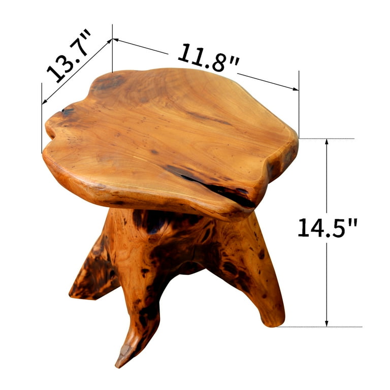 Loon Peak Natural Tree Stump Stool