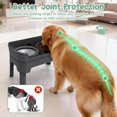 thumbnail image 3 of Comederos elevados para perro Bsemax ajustables en 4 alturas, 3 of 9