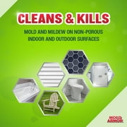 Home Armor Instant Mold & Mildew Stain Remover, 32 oz