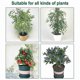 thumbnail image 4 of 5 Packs Of Garden Plant Protection Nets with Rope, for Vegetable, 4 of 5