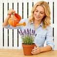 thumbnail image 4 of Watering Can for Indoor Plants, 35 oz/1000 ml Metal Stainless Steel Pot with Long Spout for House Bonsai Outdoor Garden Flower Decorative,Orange, 4 of 7