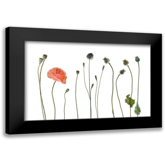 Gronkjar, Lotte 14x10 Black Modern Framed Museum Art Print Titled - New a old
