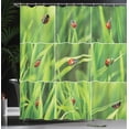 thumbnail image 4 of Ambesonne Nature Shower Curtain, Ladybug over Fresh Grass, 69"Wx84"L, Green Red, 4 of 5