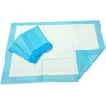 thumbnail image 2 of LEO (Chux) Disposable Underpads 22" x 34", Economy Waterproof Absorbent Bed Pads for Adults, Children and Pets, Large Size, Blue, Count (50/Pack), 2 of 7