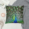 thumbnail image 2 of Orinice Peacock Feathers Graphic Decorative Cotton Linen Throw Pillow Cover Zipper Closure for Home Couch Bedroom - 1PC 24x24in, 2 of 5
