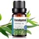 thumbnail image 1 of Aceite Esencial de Eucalipto UVa Natural 10 ML Aromaterapia para Difusores y Humidificadores con Caj, 1 of 6