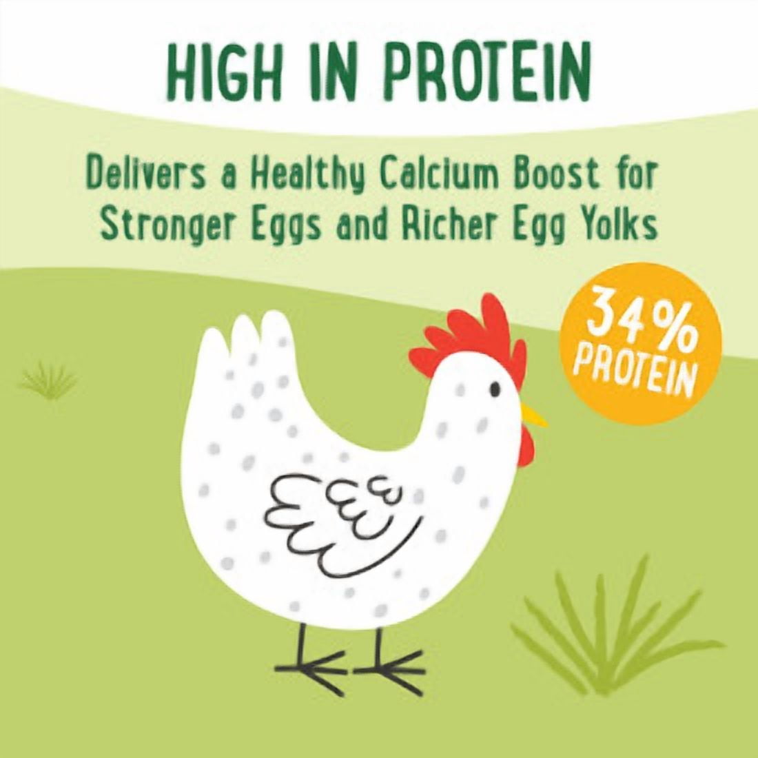 Farmhouse Favorites Golden Egg Poultry Treats 2lb