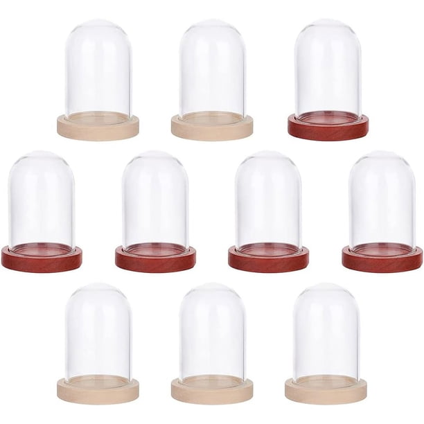 10 juegos de mini campanas de cristal con forma de flor eterna, vitrinas de cristal transparente con base de madera en 2 colores.
