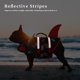 thumbnail image 5 of Chaleco salvavidas para perros Dogcheer Cute Shark para nadar negro S, 5 of 6