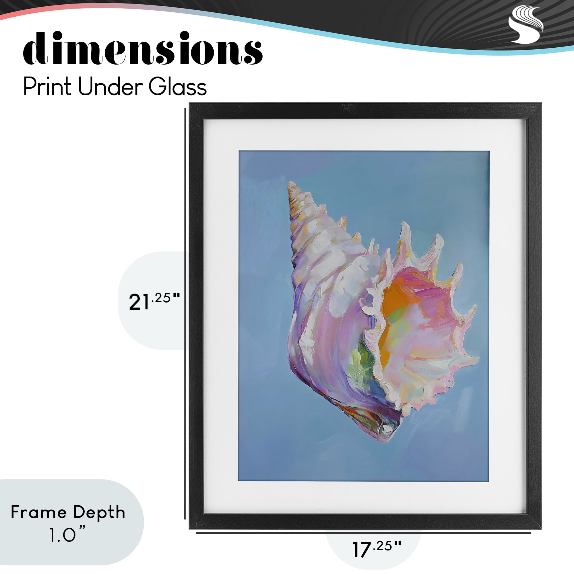 Stupell Industries Pastel Hued Conch on Blue Black Framed Print Under Glass, design by The Prints Vibe