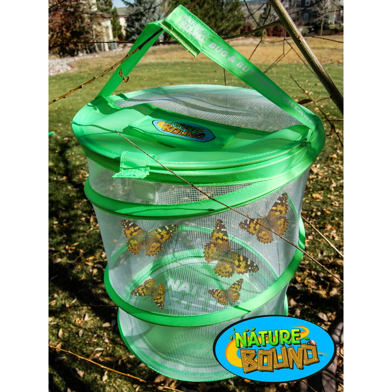 Nature Gift Store 10 Live Caterpillars Shipped Now: Butterfly Kit Refill  Plus 3D Figurines Bundle