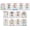 Human Body Complete Set of 13, variant on JELLY BEAN GENIUS Circulatory System Poster – Laminated Dry-Erase Human Anatomy Chart for Classroom & Homeschool | Heart Science Wall Poster 8.5x11