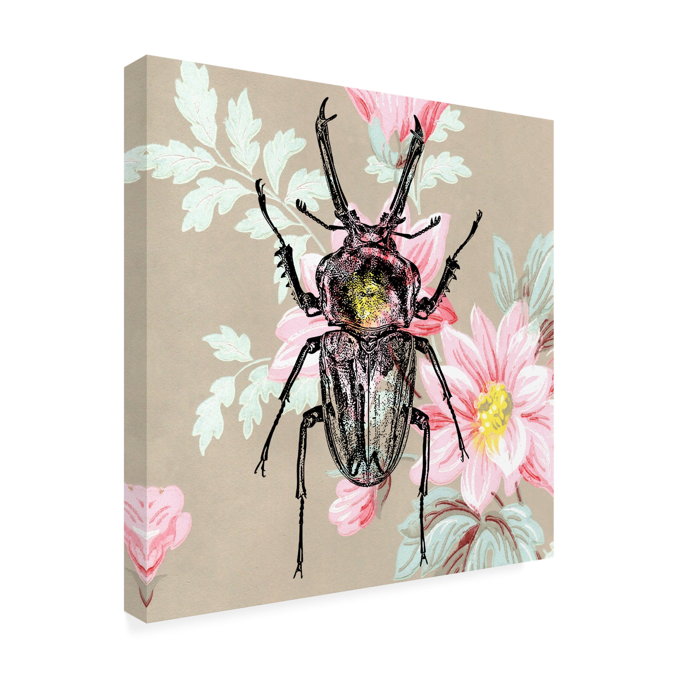 Canvas Wall Art - Dean Russo- Exclusive 'Beetle Wallpaper Square' Wall Art for Living Room, Bedroom, or Office Décor by Trademark Fine Art - 18 x 18 Inches