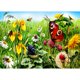 thumbnail image 1 of Pintura de diamante (DB3107) 5D DIY mariposas recoger miel bordado cuadrado 50x70cm FLhrweasw Nuevo, 1 of 1