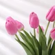 thumbnail image 5 of Flores artificiales de tulipanes de 10 piezas, ramo de tulipanes falsos, tacto Real, decoración del jardín del hogar para decoración de bodas, suministros para fiestas, 5 of 5