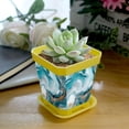 thumbnail image 5 of HemaKayy Decorative Planter Pot Set - Perfect for Small Plants - Colorful Design With Drainage Hole - Ideal for Home and Garden Decor - Set of 8 - Unique Marble Texture, 5 of 6