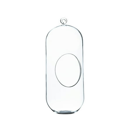 WGV Clear Cylindrical Hanging Glass Terrarium / Candle Holder - 5" Wide x 12" Height, Good quality Terrarium - 1 Pc