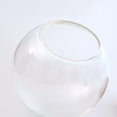 thumbnail image 4 of Abbracc 10pcs Glass Cloche Dome Cover Terrarium Container Miniature Display Bell Jar, 4 of 8