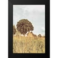 thumbnail image 2 of Aledanda 11x14 Black Modern Framed Museum Art Print Titled - Grass and Sky Light, 2 of 5
