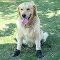 thumbnail image 5 of 7 Zapatos para perros botas zapatos impermeables para perros con reflectante, 5 of 5