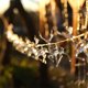 thumbnail image 2 of 1pc Christmas Reindeer String Lights, For New Year Christmas Tree Wedding Curtain Indoor Garland Garden Party Room Bedroom Decorative Lights, Powered By Battery Box (Battery Not Included), 2 of 4