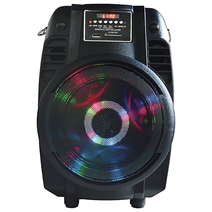MAX POWER MPD65L Karaoke DJ speaker system