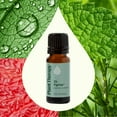 thumbnail image 3 of Plant Therapy Zit Fighter Essential Oil Blend 10 mL (1/3 oz) 100% Pure, Undiluted, Natural Aromatherapy, 3 of 8