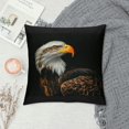 BCIIG Bald Eagle Graphic Decorative Throw Pillow Cover for Home Couch