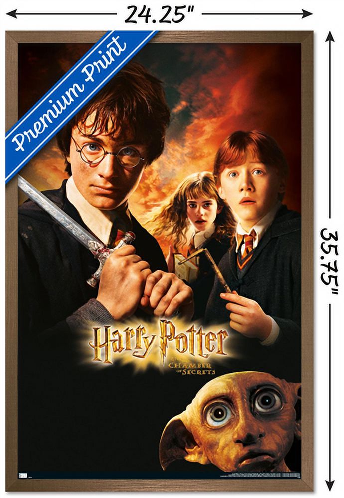 Harry Potter and the Chamber of Secrets - Sword One Sheet Wall Poster, 22.375" x 34", Framed