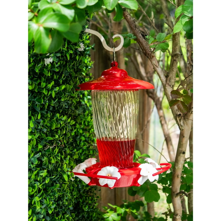 Can I Hang a Hummingbird Feeder near Other Bird Feeders? Expert Tips!