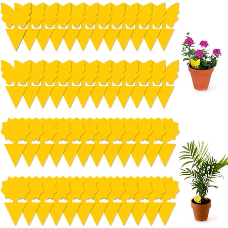 ACDANC 2026 New 48 Pack Sticky Fruit Fly Traps and Fungus Gnat Trap Killer for Indoor Outdoor,House Plant Trap for Fruit Flies,Flying Insects Gnat Traps for House Indoor