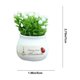 thumbnail image 3 of Maceta Decorativa para Coche con Flores Artificiales, Frutas y Aromas, Ideal para Ambientadores de Coche., 3 of 6