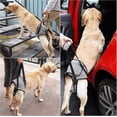 thumbnail image 5 of Dog Sling For Large Dogs Hind Leg Support To Help Rehabilitate The Hind Limbs Of Elderly Dogs With Weak Hind Legs Disabilities, 5 of 5