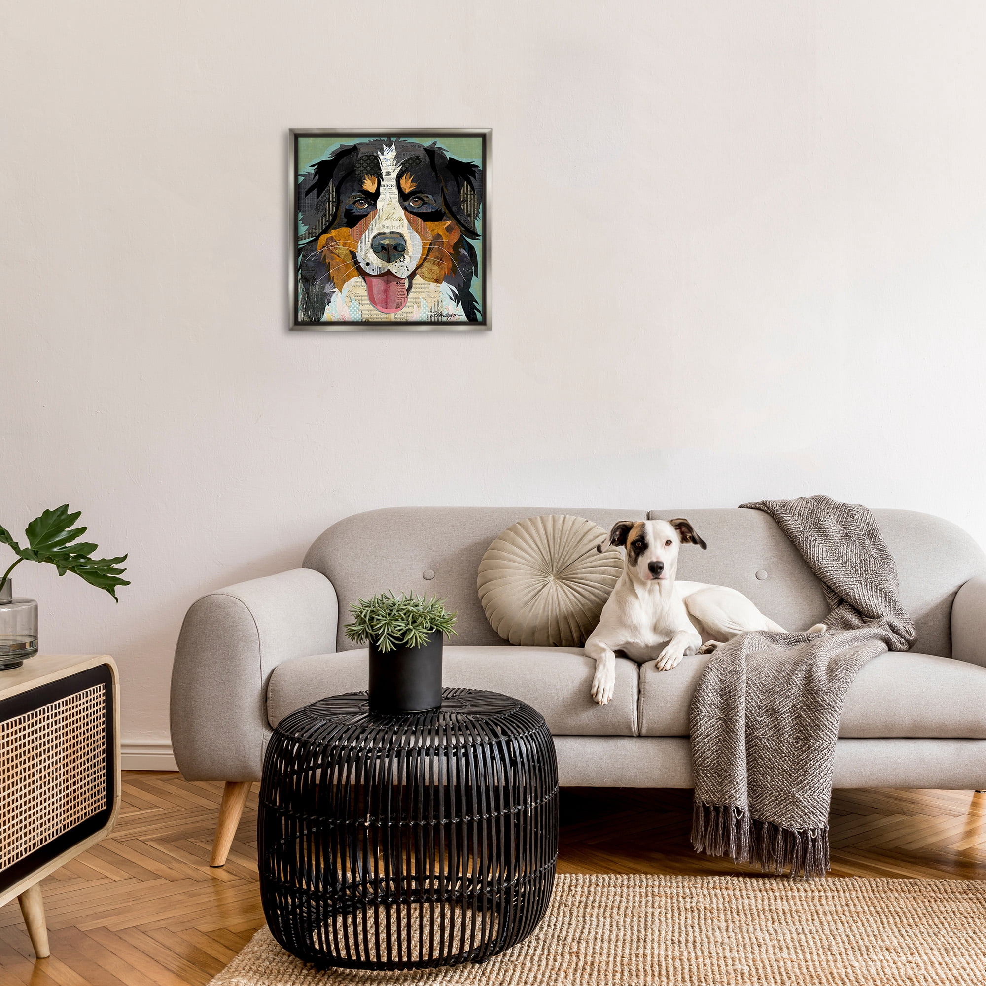 Stupell Industries Bernese Mountain Dog Collage Animals & Insects Painting Gray Floater Framed Canvas Art Print Wall Art, 25 x 25