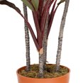 thumbnail image 6 of Northlight 60" Dracaena Artificial Potted Plant - Red/Green, 6 of 7