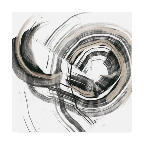 Trademark Fine Art 'Circulation Strokes' Canvas Art by Ethan Harper