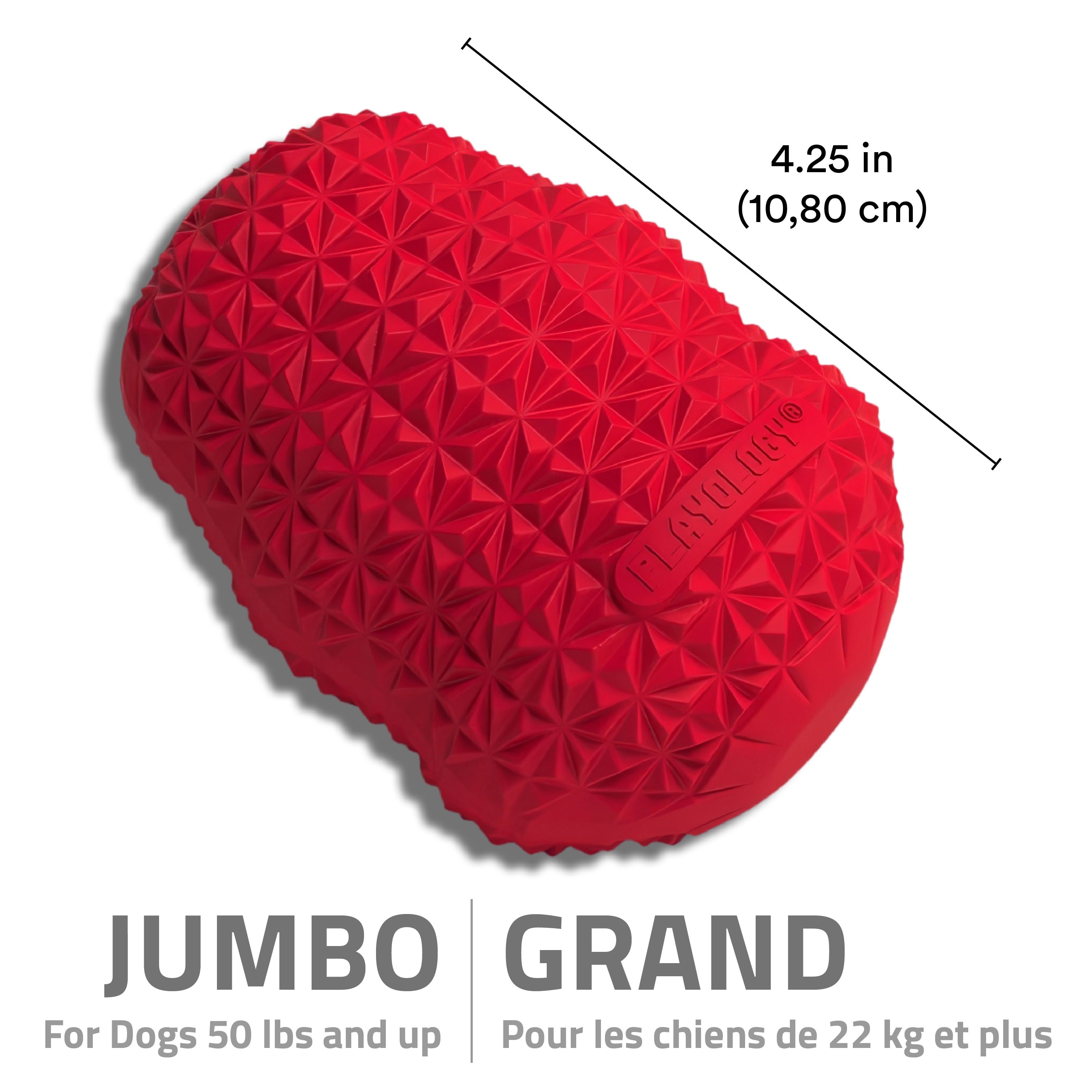 Playology Pomme de pin grinçante Bœuf Jouet parfumé pour chien