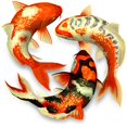 thumbnail image 1 of Koi Fish - DIY Diamond Painting, 1 of 6