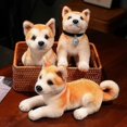 thumbnail image 3 of Jouet en Peluche Chien Akita Réaliste 25/30cm Shiba Inu Chiot Zekai, 3 of 5