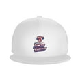Jacksonville Jumbo Shrimp Hats For Men Flat Bill Fitted Caps Hiphop Rap