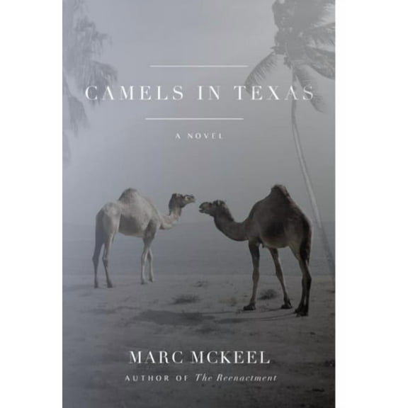 Camels in Texas, (Hardcover)