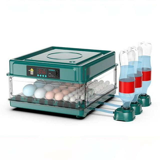 Máquina automática inteligente para incubar huevos con automático de huevos y adición de agua Pantalla LED Huevos para incubar para uso 48huevos Salvador Incubadora automática de huevos